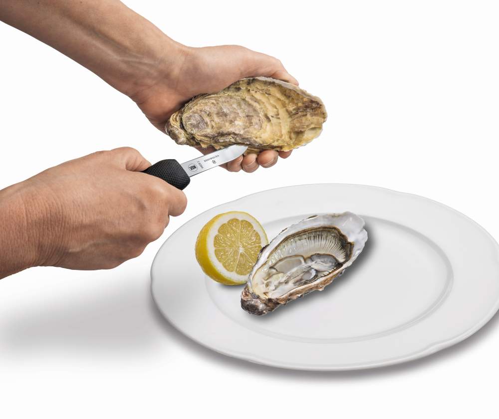 Cuchillo abre ostras de Victorinox. Distribución Comercial Muela, España.